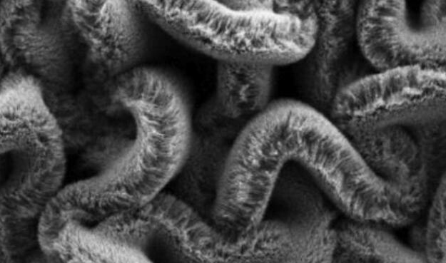 行业新闻：可拉伸的超等电容器，，，，，为柔性可衣着装备铺路